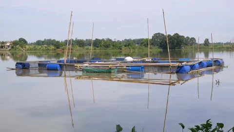 Floating net cages on Lake. This cage is used for fish farming. Stock Footage 268697657