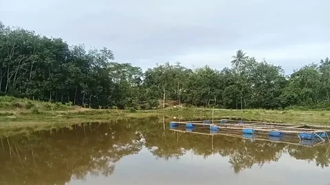 Floating net Stock Footage 322632796