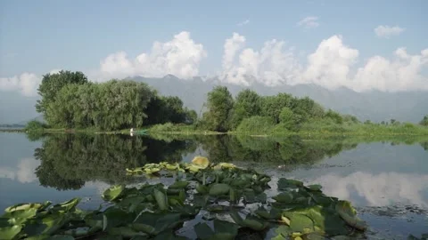 Floating next to the green island into the Dal Lake, Srinagar, Kashmir Video stock 285070673