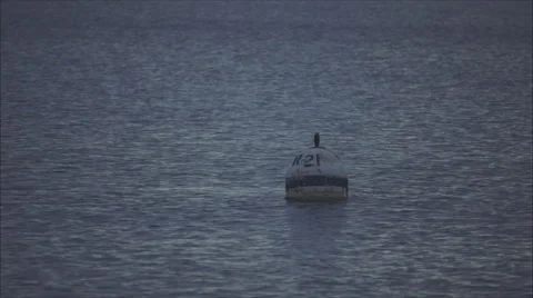 Floating object with the calming of the sea 動画素材 67888421