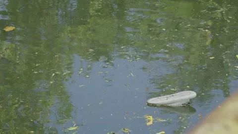 Floating Object On Water Stock Footage 338343097