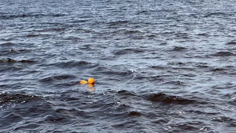 Floating orange buoy with waves Stock Footage 312790846