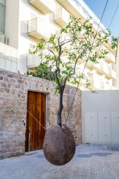 Floating orange tree, Jaffa Stock Photos
