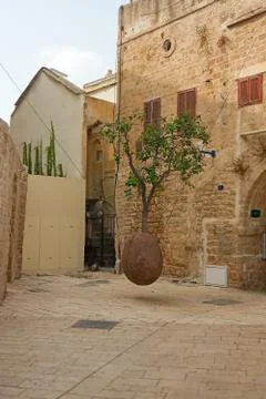 Floating Orange Tree by Ran Morin in Tel Aviv, Israel Foto stock