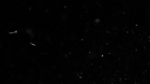 Floating Organic Dust Stock Footage 102801978
