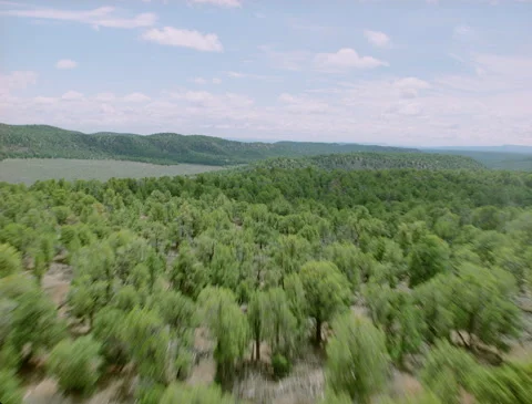 Floating over green trees and valley 1989 Stock Footage 136071421