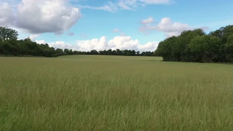 Floating over long grass Stock Footage 139360300