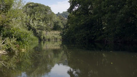 Floating over a river Stock Footage 97876548