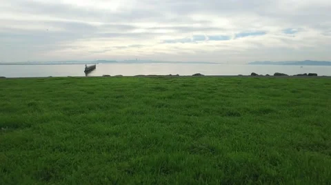 Floating Over Still Waters Stockbeeldmateriaal 68384745