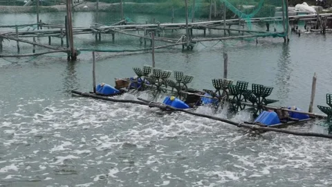 Floating paddle wheel aerator rotating on surface of fish pond producing spray Stock Footage 322166551