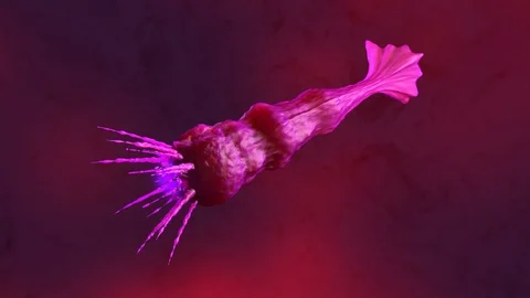 A floating Parasite Video stock 100753790