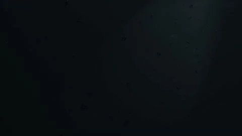 Floating particles in dark mode Stock Footage 145753277