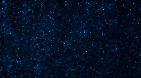 Floating Particles Stock Footage 41404593