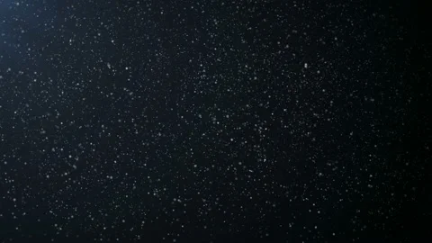 Floating particles of organic dust. Stock Footage 106347258