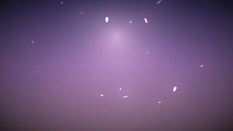 Floating particles in purple light create a soft visual Stock Footage 338203315