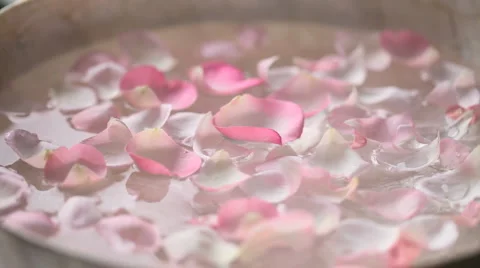 Floating petals Stock Footage 1054192