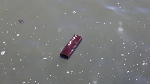 Floating piece of wood on water Stock Footage