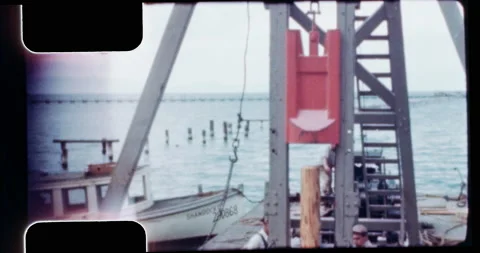 Floating pile driver pounds pilings for a new dock Vidéo 195539792