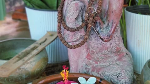 Floating pink hibiscus and white frangipani Vídeo Stock 333611242
