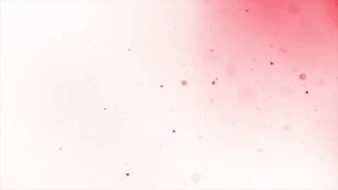 Floating pink Particles in white Background Stock Footage 167557534