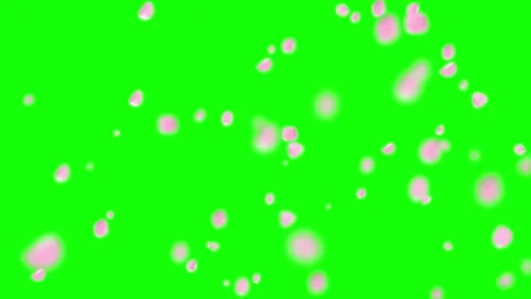 Floating pink petals combined with glowing orange jack o lantern icons against Stock Footage 343805482