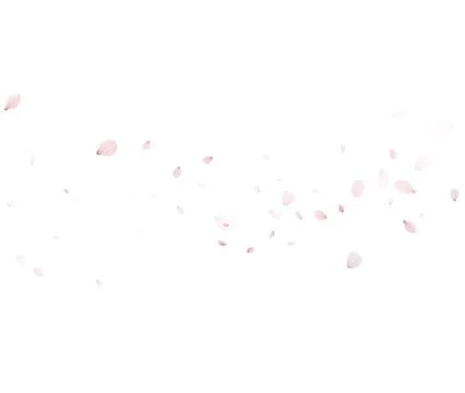 Floating Pink Petals Vector On White For Skincare Mask And Serum Design Stock-Illustration