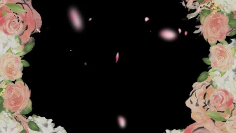 Floating pink rose petals cascading against elegant watercolor floral borders 스톡 동영상 345335433
