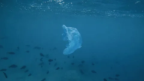A floating plastic bag moves through the sea. Ocean pollution issue Stock Footage 313057619