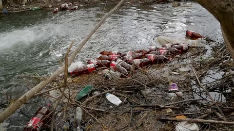 Floating plastic beer bottles Stock Footage 106798556