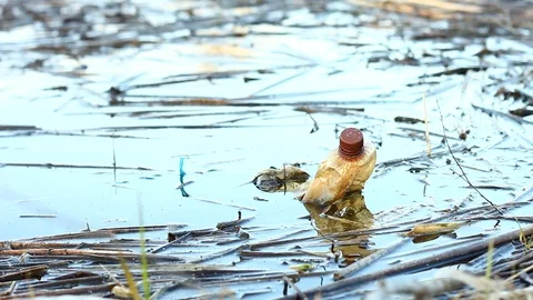Floating plastic bottle in a pond close-up. Stock Footage 127373649