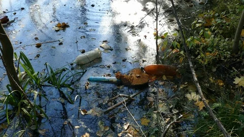 Floating Plastic bottles in a polluted pond water Stock-Footage 96730125