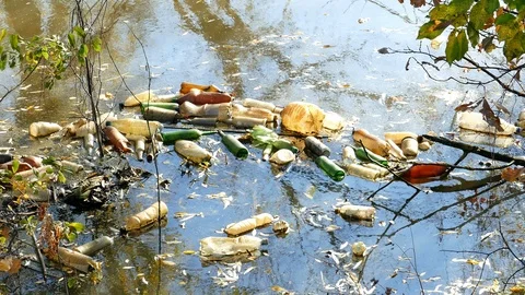 Floating Plastic bottles in a polluted pond water Stock-Footage 96730852
