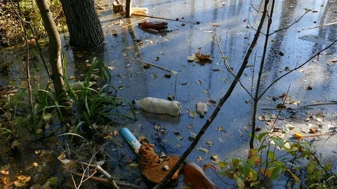 Floating Plastic bottles in a polluted pond water Stock-Footage 96731001
