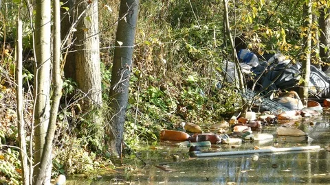 Floating Plastic bottles in a polluted pond water Stock-Footage 96731925