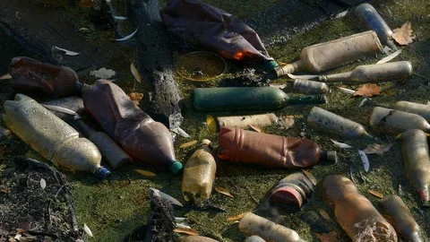Floating Plastic bottles in a polluted pond water Stock-Footage 96732022
