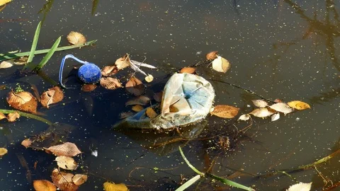 Floating Plastic bottles in a polluted pond water Stock-Footage 96732848