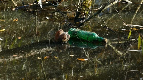 Floating Plastic bottles in a polluted pond water Stock-Footage 96732976