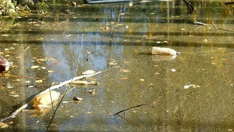 Floating Plastic bottles in a polluted pond water Stock-Footage 96733110