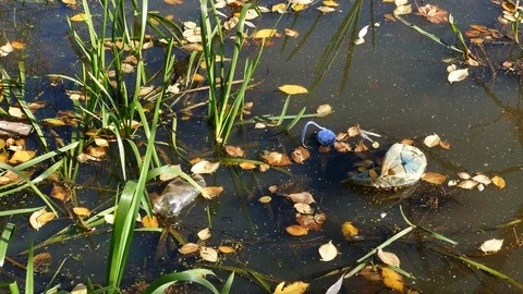 Floating Plastic bottles in a polluted pond water Stock-Footage 96737482