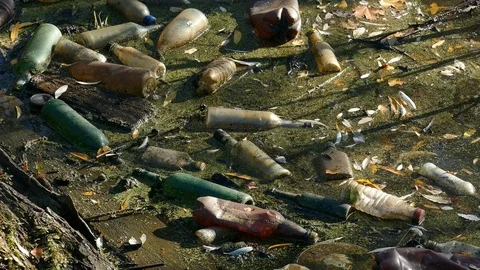 Floating Plastic bottles in a polluted pond water Stock-Footage 96737853