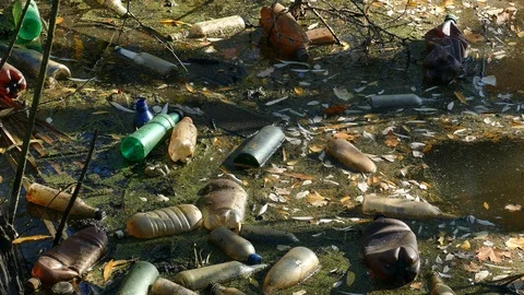 Floating Plastic bottles in a polluted pond water Stock-Footage 96738097