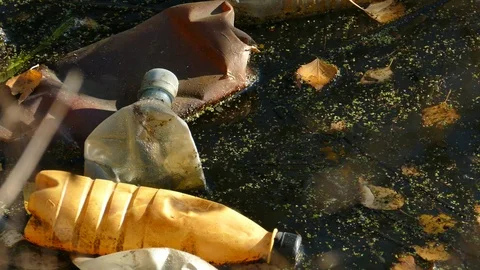 Floating Plastic bottles in a polluted pond water 動画素材 98294957