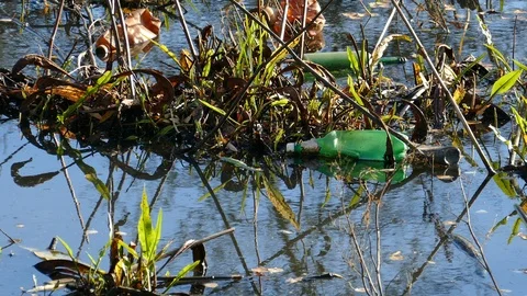 Floating Plastic bottles in a polluted pond water Stock-Footage 98296619