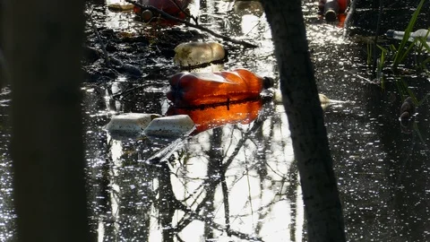 Floating Plastic bottles in a polluted pond water Stock-Footage 98297148