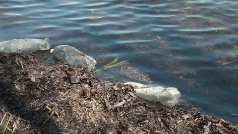 Floating plastic bottles  polluting water in river Stock Footage 135885373