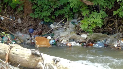 Floating plastic bottles in the small river, Stock Footage 89994384