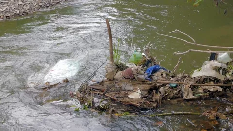 Floating plastic bottles in the small river Stock Footage 89994395
