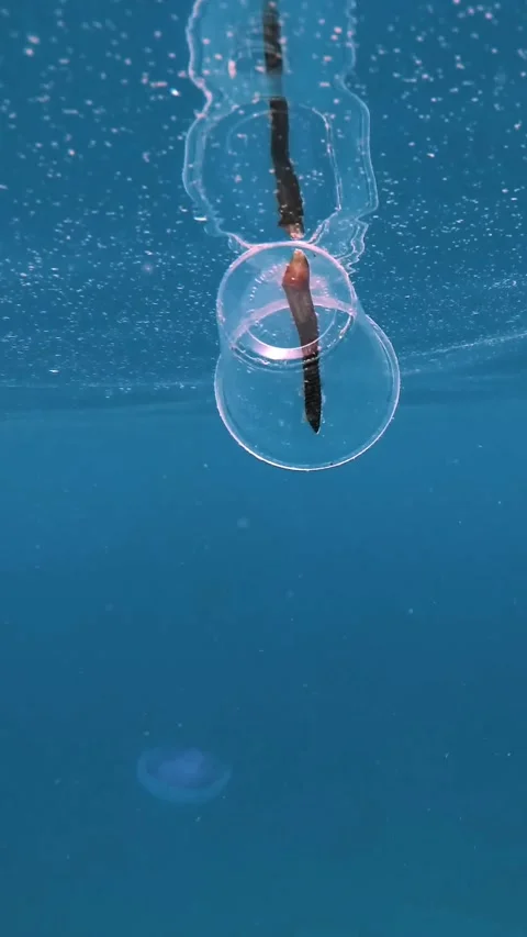 Floating plastic rubbish, Garbage, bags and disposable cups on surface of water. Stock Footage 310182991