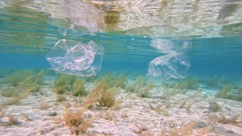 Floating plastic waste in shallow waters Video stock 337922280