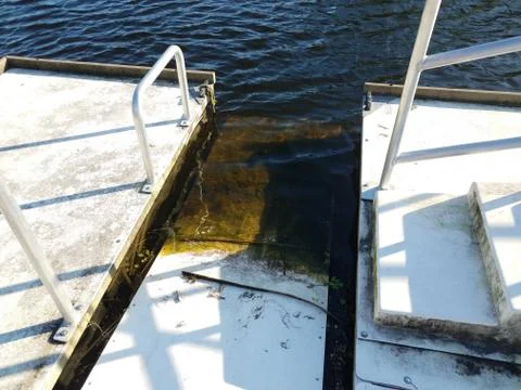 Floating platform in water with algae and railings Stock Photos